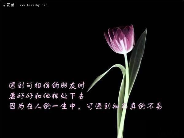 2009217104955731.jpg