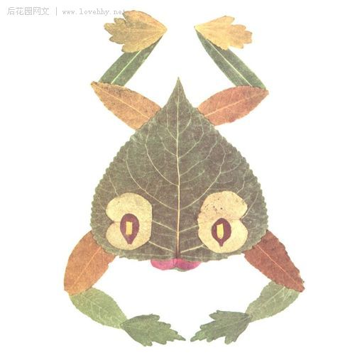 漂亮的树叶拼贴画 漂亮的树叶拼贴画